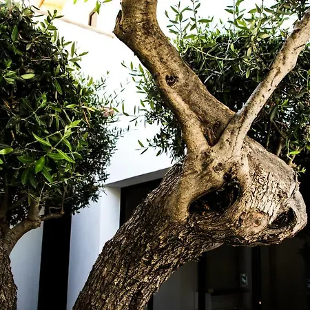 Resort Diodorus Luxury Experience Favara