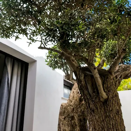 Diodorus Luxury Experience 3* Favara